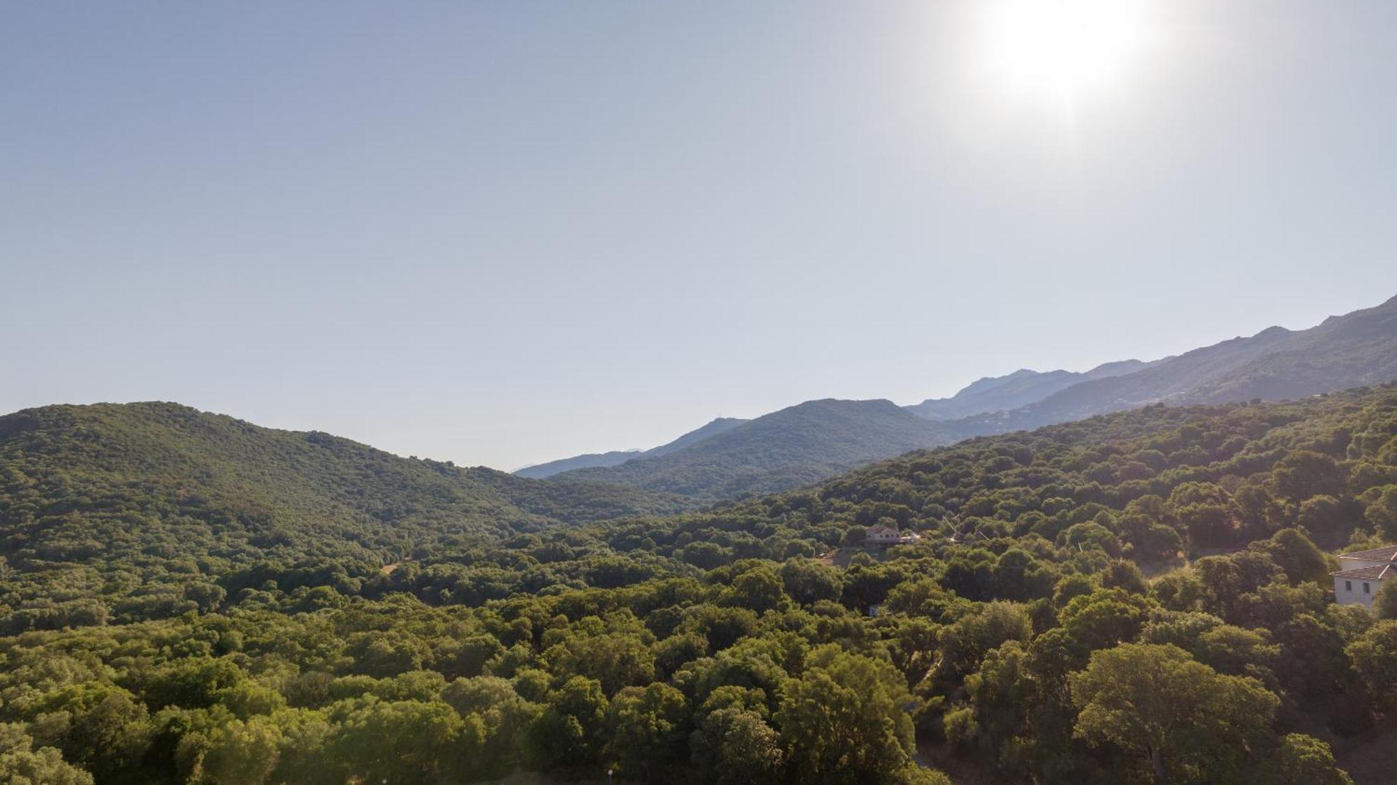 Casa Lea Daire Sollacaro Dış mekan fotoğraf